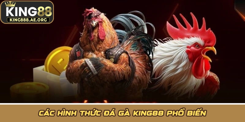 Các hình thức đá gà KING88 phổ biến
