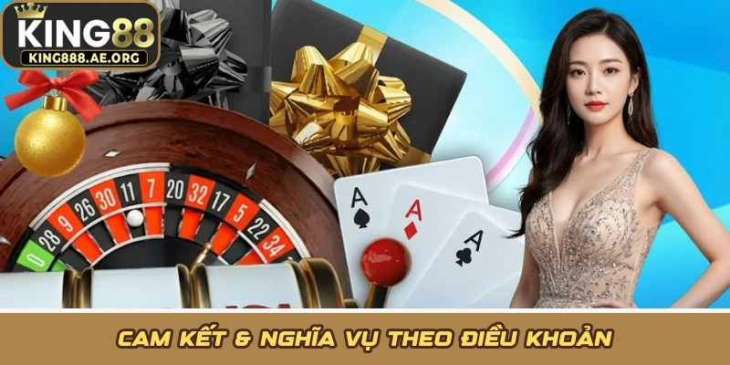 Cam kết & nghĩa vụ theo điều khoản