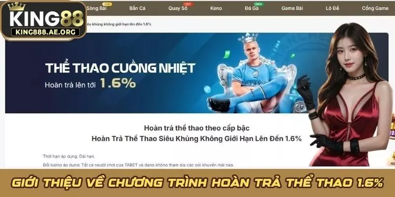 Giới thiệu về chương trình hoàn trả thể thao 1.6%