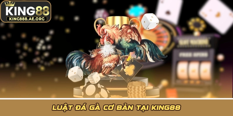 Luật đá gà cơ bản tại KING88