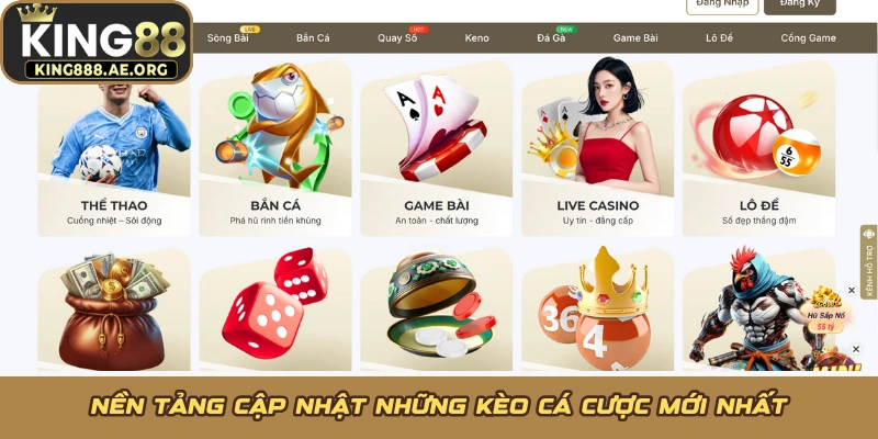 Nền tảng cập nhật những kèo cá cược mới nhất