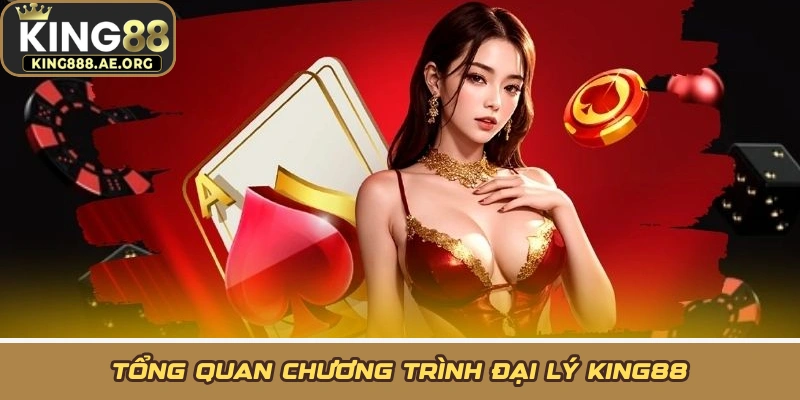 Tổng quan chương trình đại lý KING88
