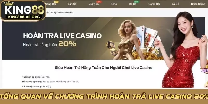 Tổng quan về chương trình hoàn trả Live Casino 20% Tổng quan về chương trình hoàn trả Live Casino 20%