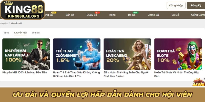 Ưu đãi và quyền lợi hấp dẫn dành cho hội viên